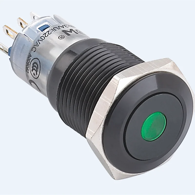 Кнопочный выключатель ELEWIND 19 мм из черного алюминия с точечной подсветкой С мгновенной фиксацией (1NO1NC) (PM192F-11ZD/B/ 12V/A)